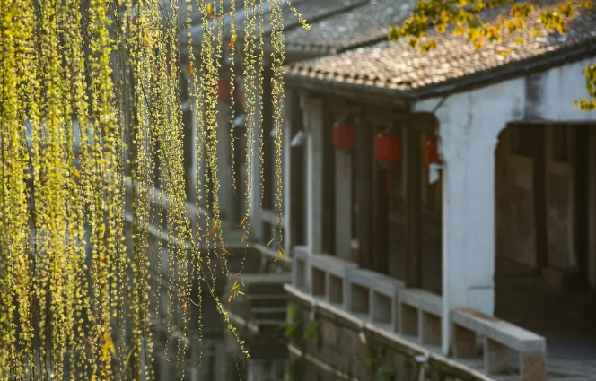 春俏江南，与黎里相聚不远