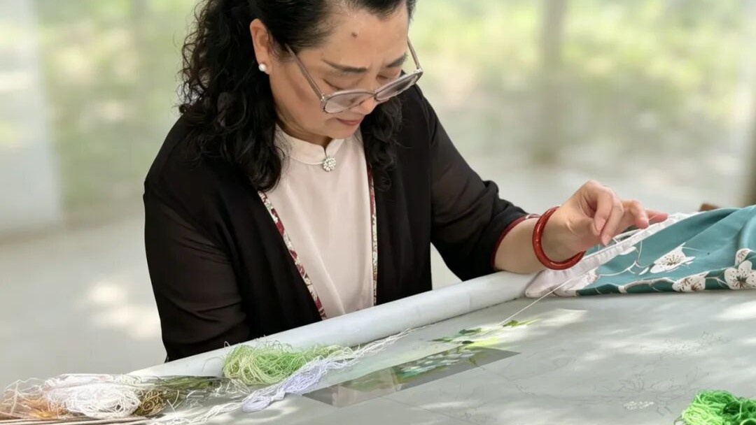 12件“宝贝”首次展出！黎里展览又上新啦！